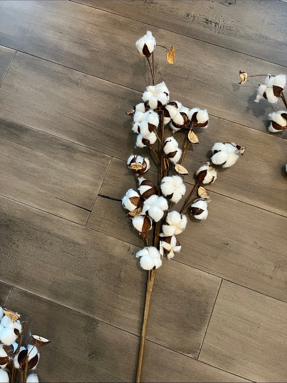 NEW Set of 4 Pier 1 Cotton Stem Spray - White and Brown Floral Accent